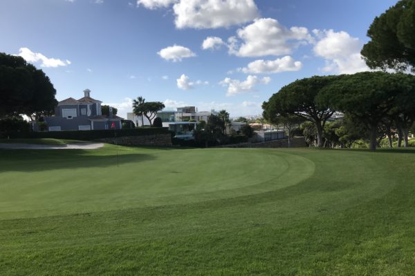 Foto 04.11.17, 15 20 18